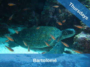 Galapagos Dive Sites Bartolome