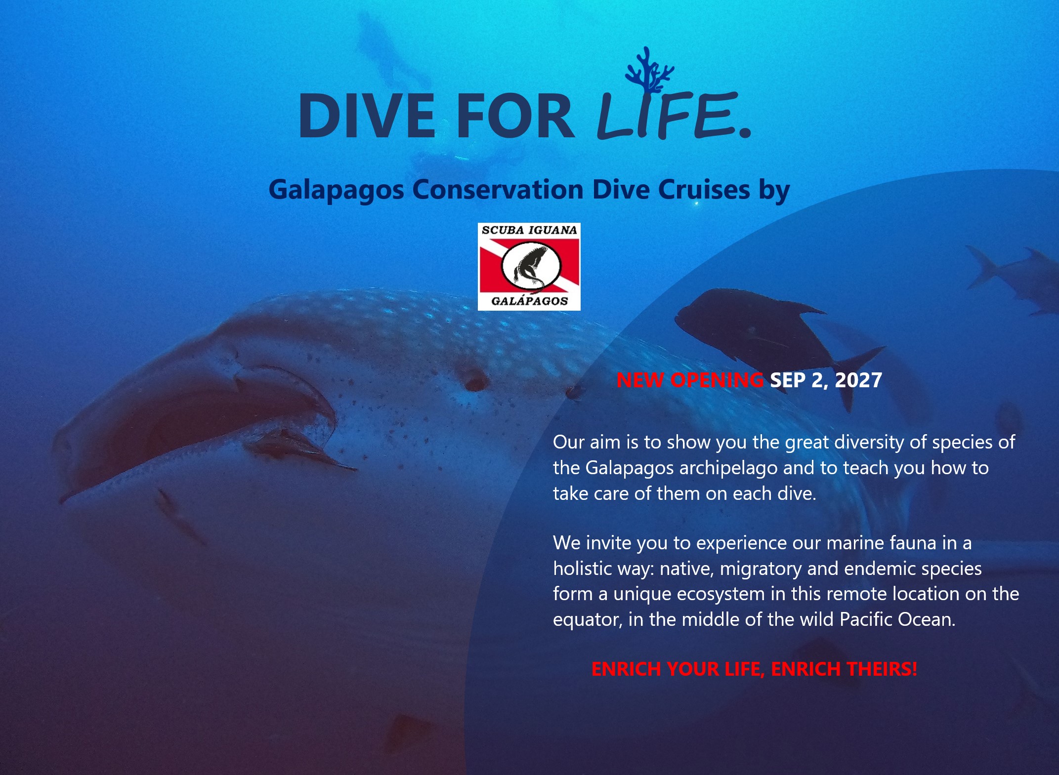 PADI Instructor Course at Scuba Iguana