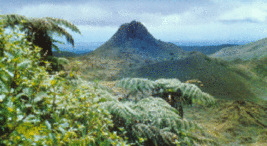 Puntudo_Galapagos