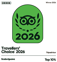 Tripadvisor Travellers' Choice 2026